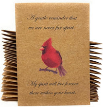 Cardinal Funeral Bird Seed Favors - 20 Individual Sealed Packets of Birdseed - Ready to Give Out, No Assembly Required